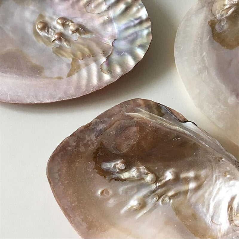 Pearl Shell Storage Tray Jewelry
