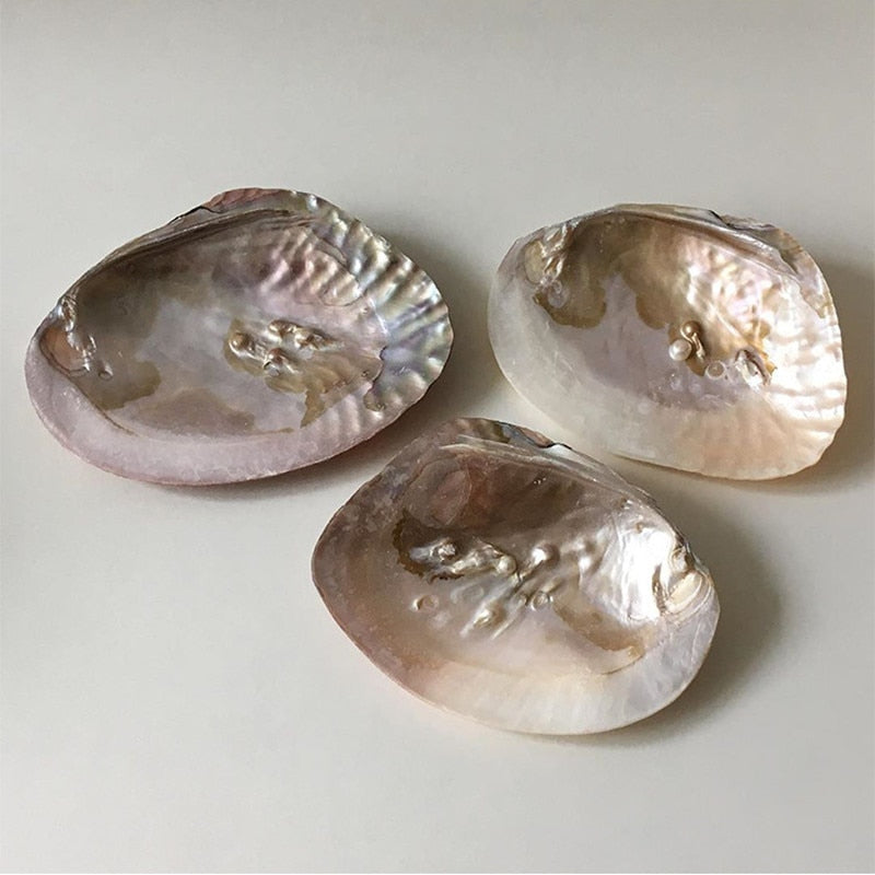 Pearl Shell Storage Tray Jewelry