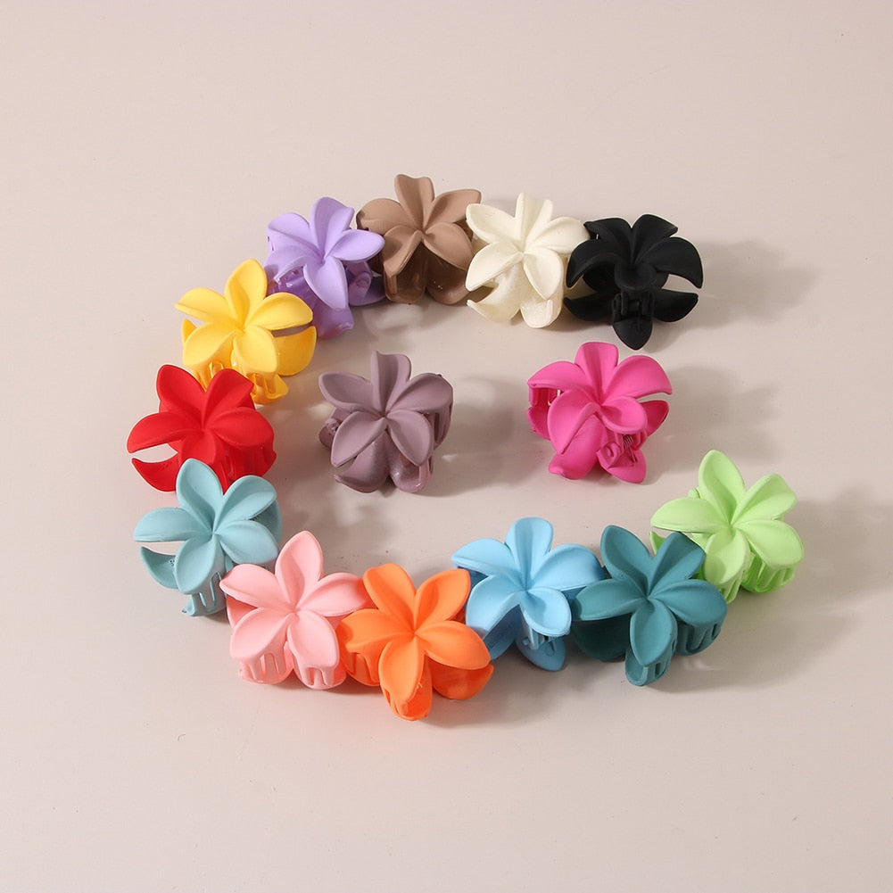 New Gradient Lily Hair Claw