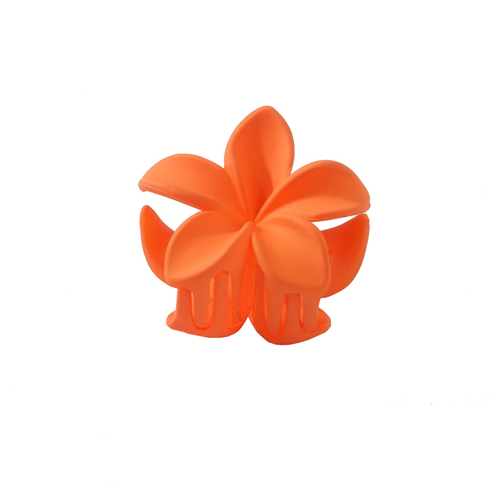 New Gradient Lily Hair Claw