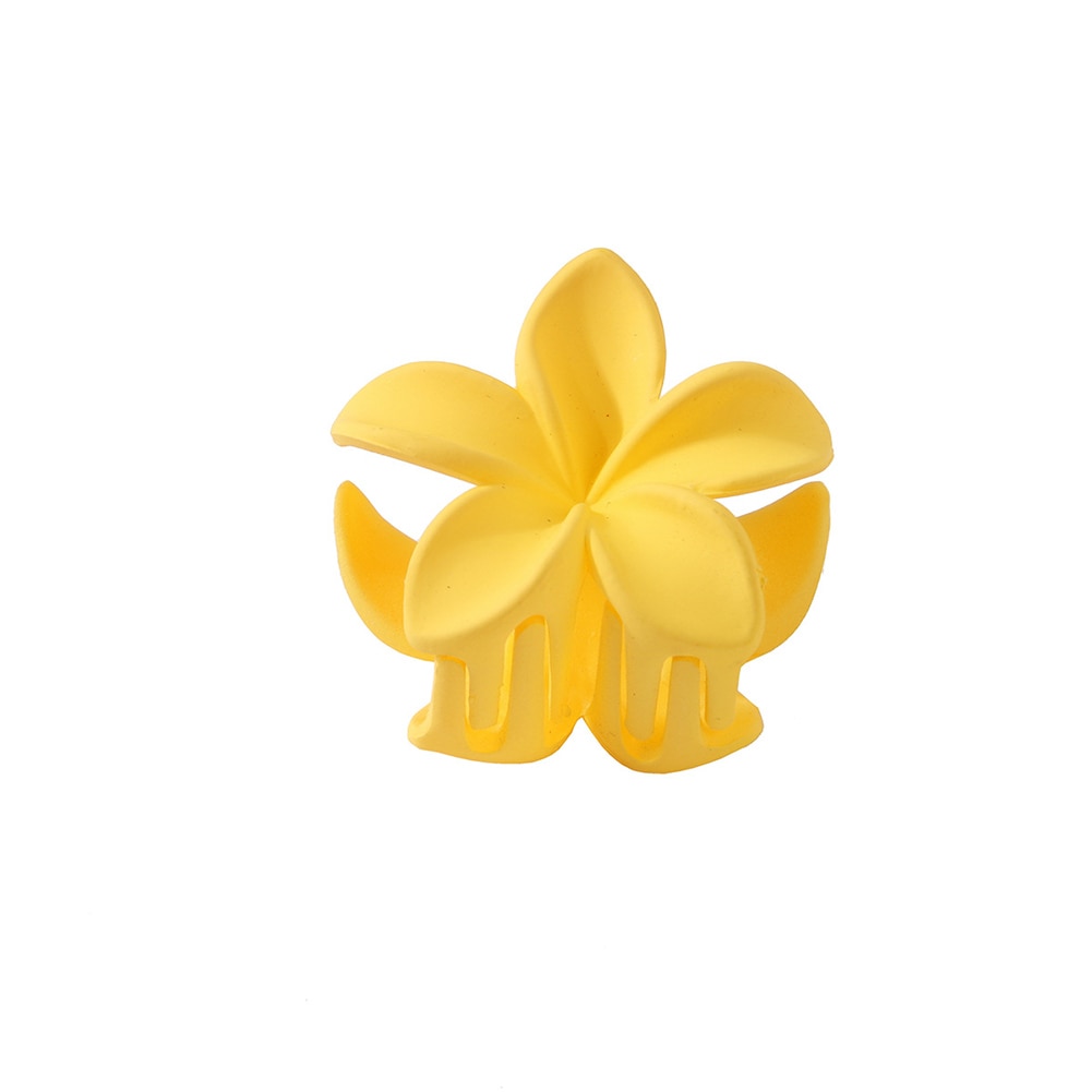 New Gradient Lily Hair Claw