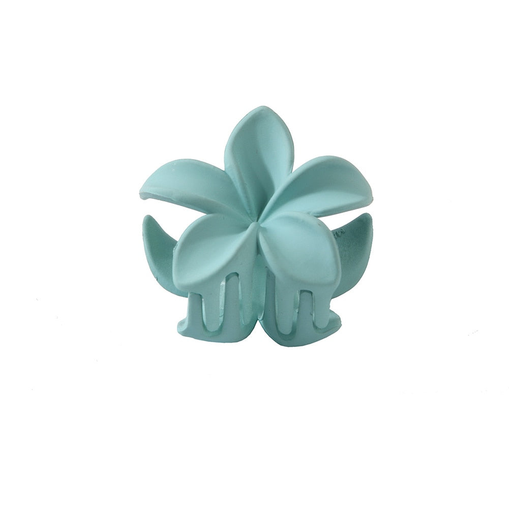 New Gradient Lily Hair Claw