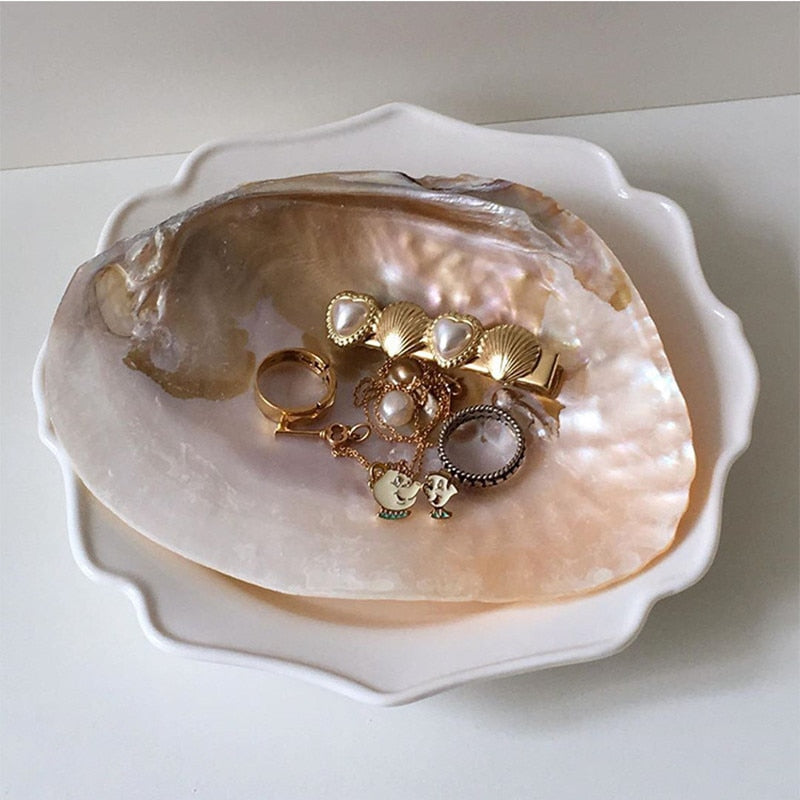 Pearl Shell Storage Tray Jewelry
