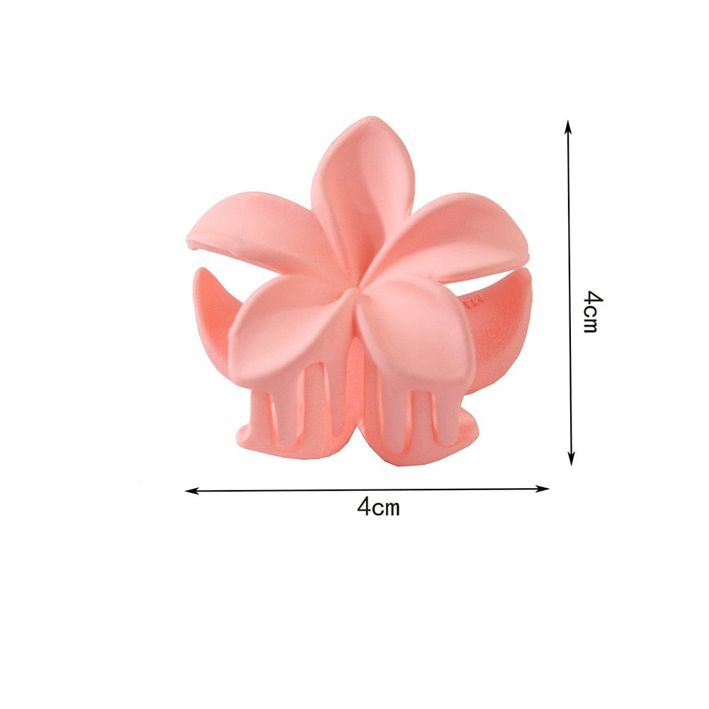 New Gradient Lily Hair Claw