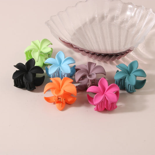 New Gradient Lily Hair Claw
